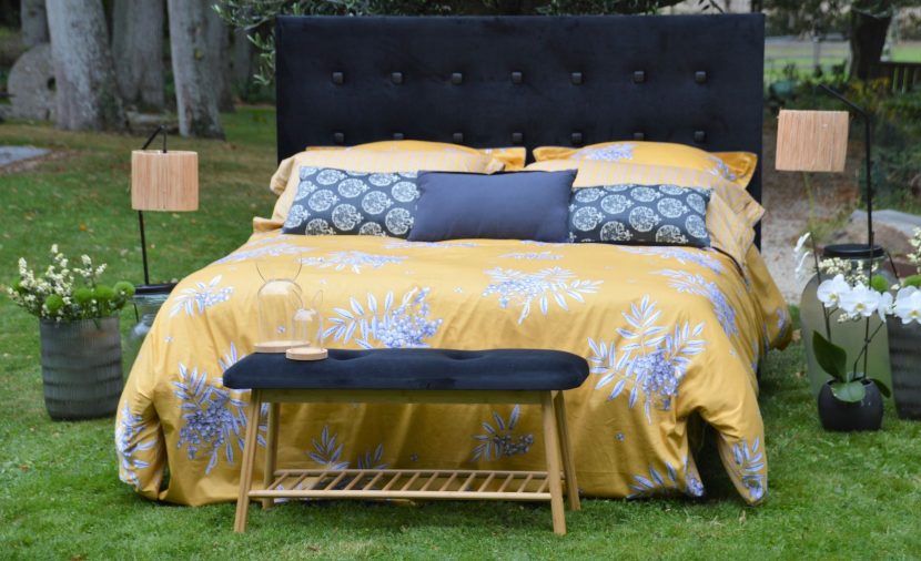 Photo innovation et tendances